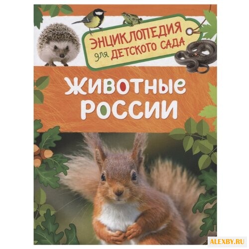 Травина И.В. Энциклопедия для