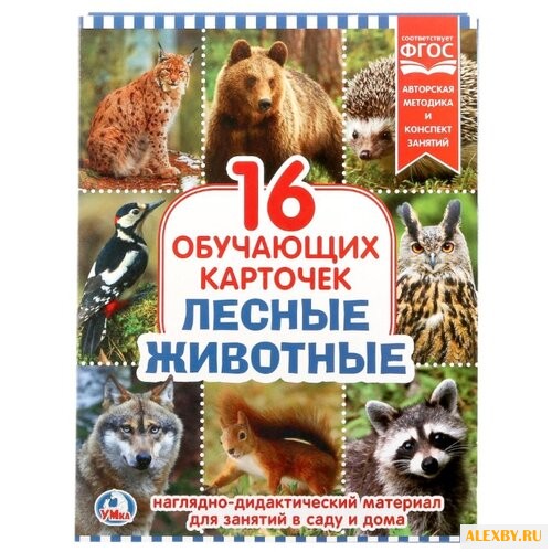 Набор карточек Умка Лесные