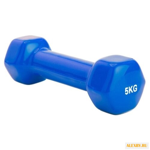 Гантель цельнолитая BRADEX SF