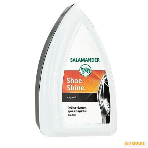 Salamander Shoe Shine