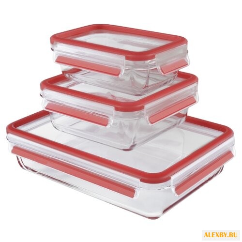 EMSA Набор из 3 контейнеров