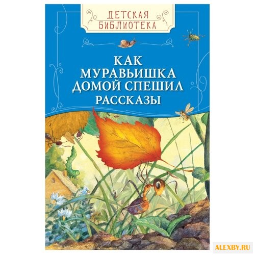 Детская библиотека. Как