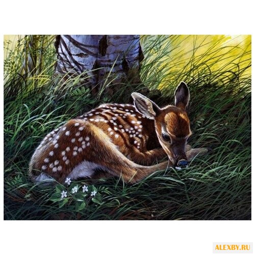 Color Kit Картина по номерам