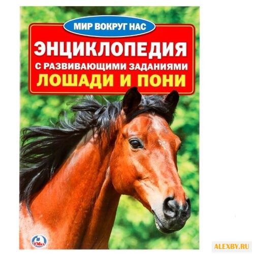 Лошади и пони. Энциклопедия с