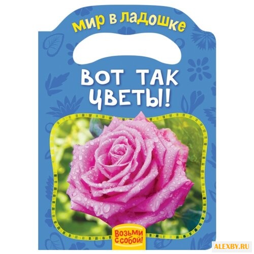 Мазанова Е.К. Мир в ладошке.