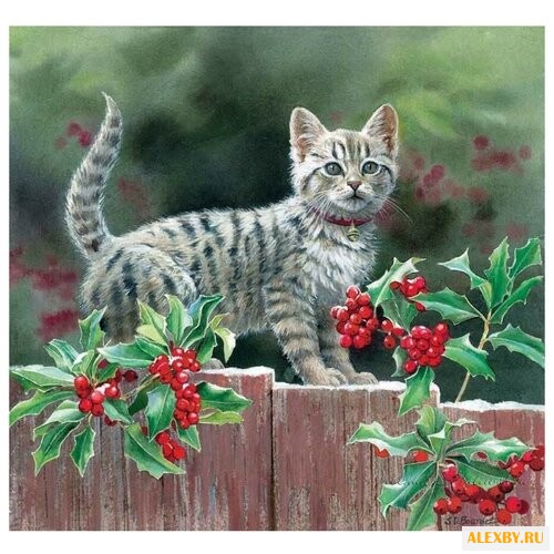 Рыжий кот Картина по номерам