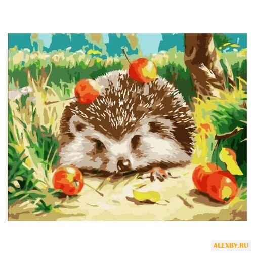 Color Kit Картина по номерам