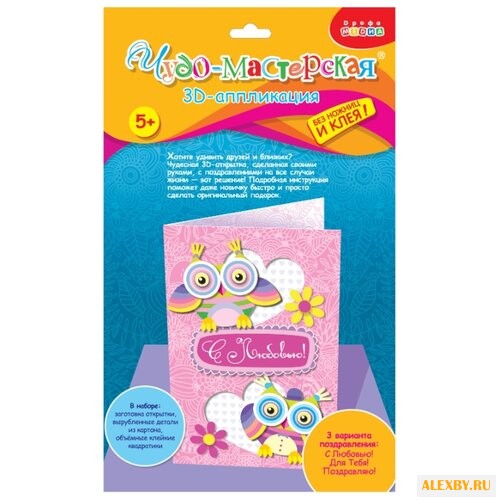 Дрофа-Медиа 3D-аппликация Совы