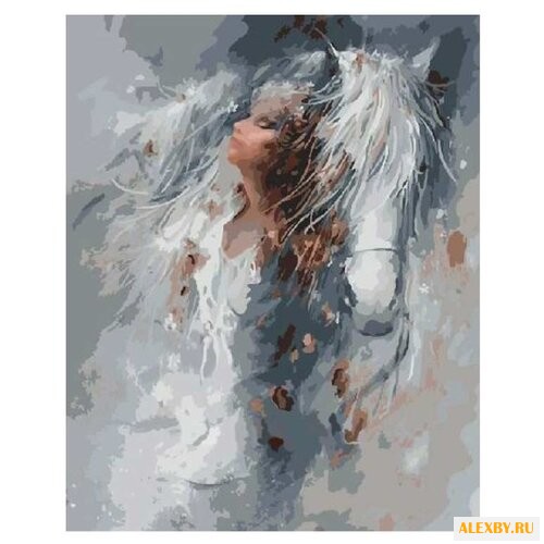 Paintboy Картина по номерам