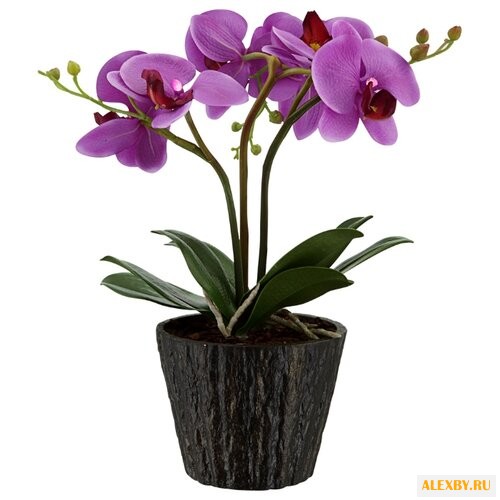 Ночник Globo Lighting