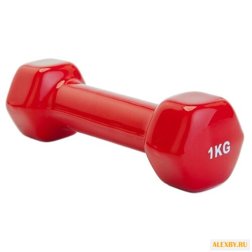 Гантель цельнолитая BRADEX SF