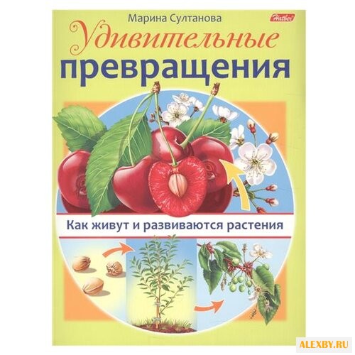 Султанова М. Что из чего.