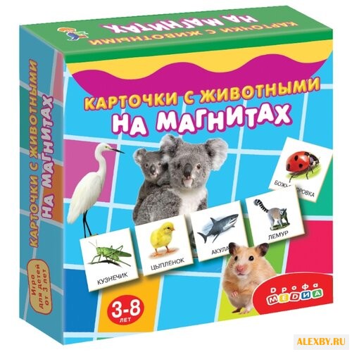 Набор карточек Дрофа-Медиа