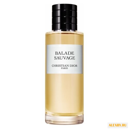 Christian Dior Balade Sauvage