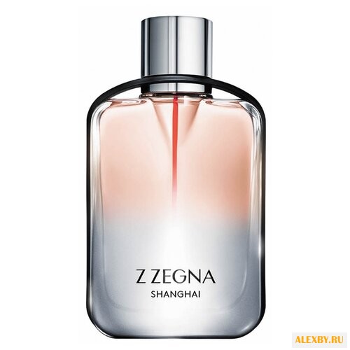 Ermenegildo Zegna Z Zegna