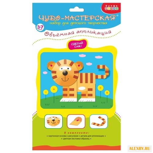 Дрофа-Медиа Объемная аппликация