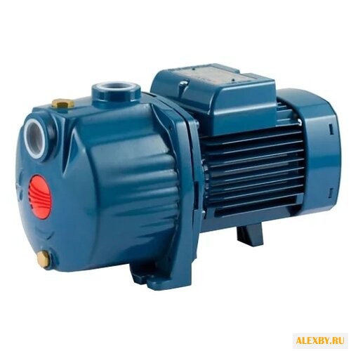 Насос Pedrollo 3CPm 60