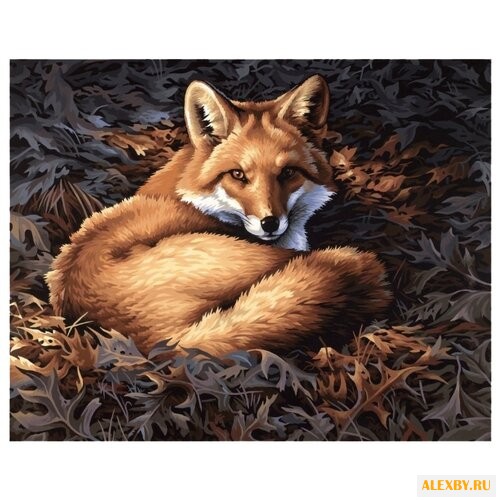 Dimensions Картина по номерам