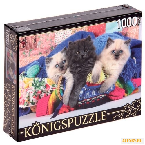 Пазл Рыжий кот Konigspuzzle Три