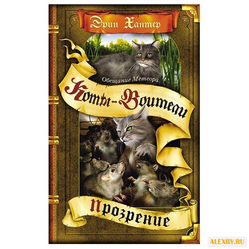 Хантер Э. Обещание Метеора.