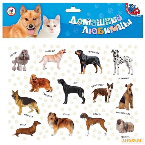 Фигурки Дрофа-Медиа Магнит -