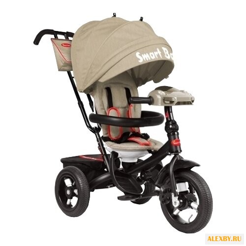 Трехколесный велосипед Smart