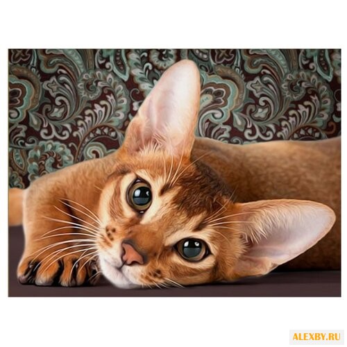 Алмазная живопись Набор