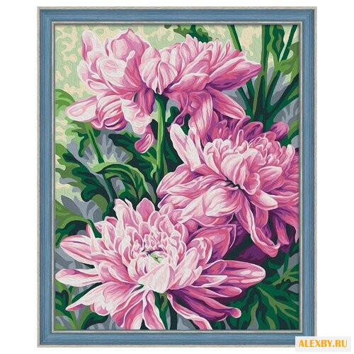 Мосфа Картина по номерам Астры