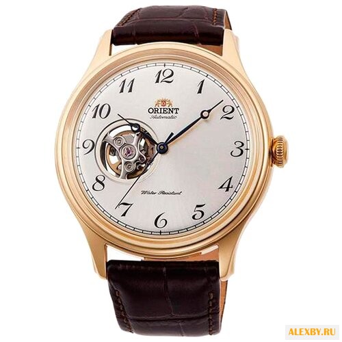 Наручные часы ORIENT AG0013S1