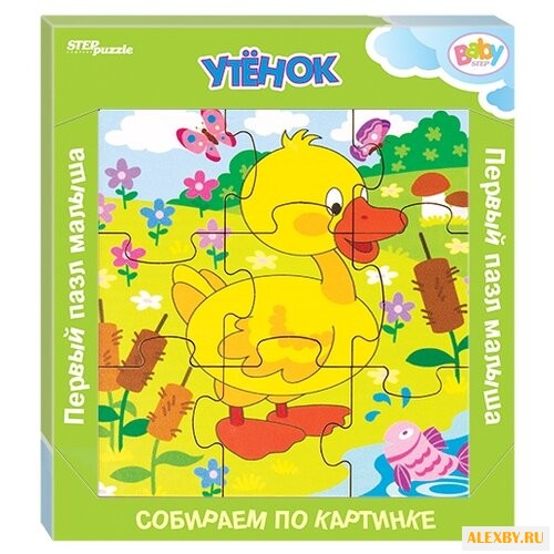 Рамка-вкладыш Step puzzle Baby