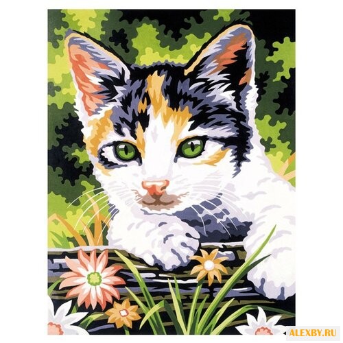 Paintboy Картина по номерам