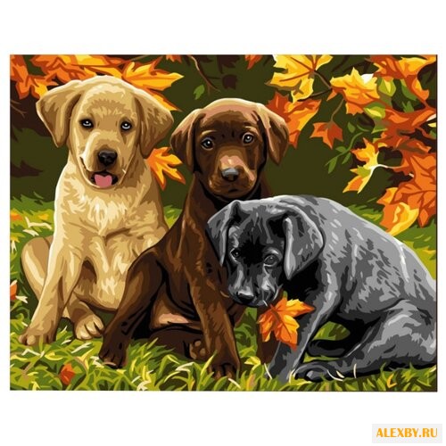 Рыжий кот Картина по номерам