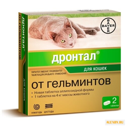 Дронтал Bayer таблетки для