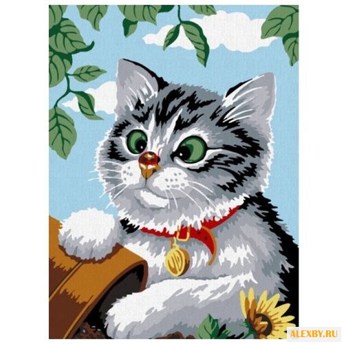 Color Kit Картина по номерам