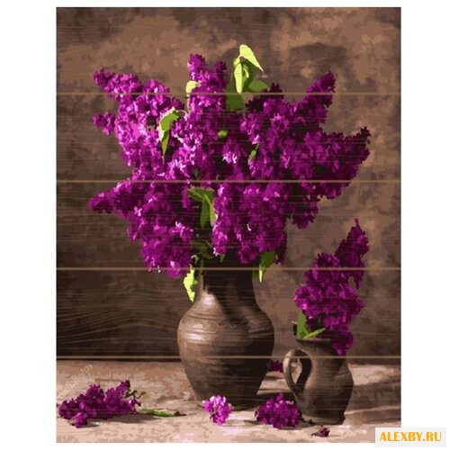 Molly Картина по номерам Бордо