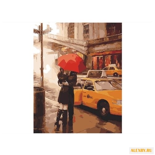 Paintboy Картина по номерам