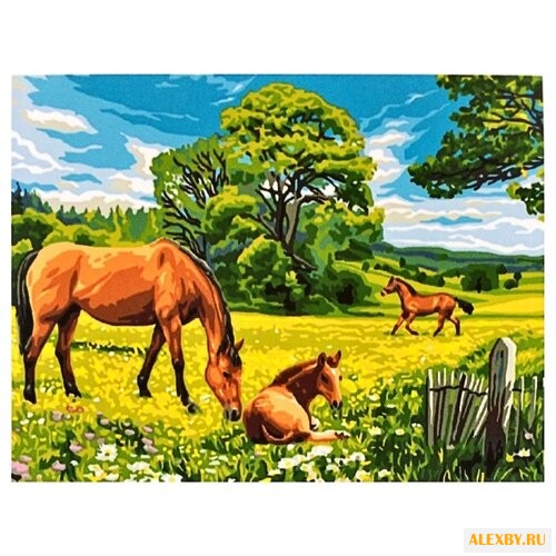 Цветной Картина по номерам