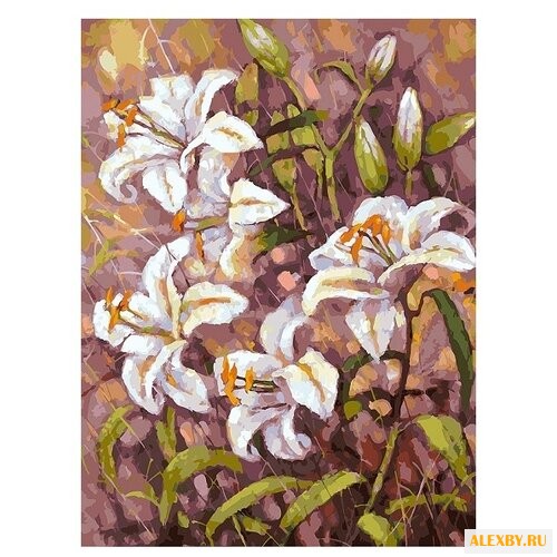 Белоснежка Картина по номерам