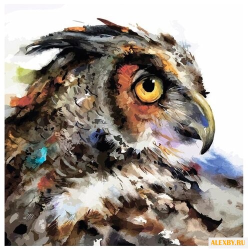 Color Kit Картина по номерам