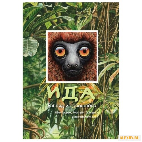 Хюрум Й. Ида. Взгляд из прошлого