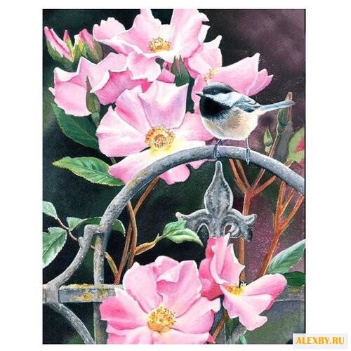 Dimensions Картина по номерам