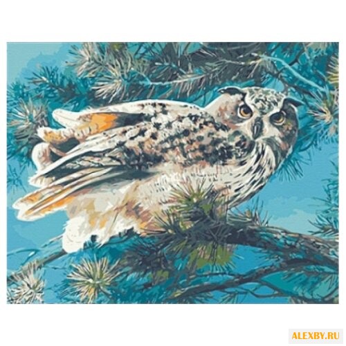 Рыжий кот Картина по номерам