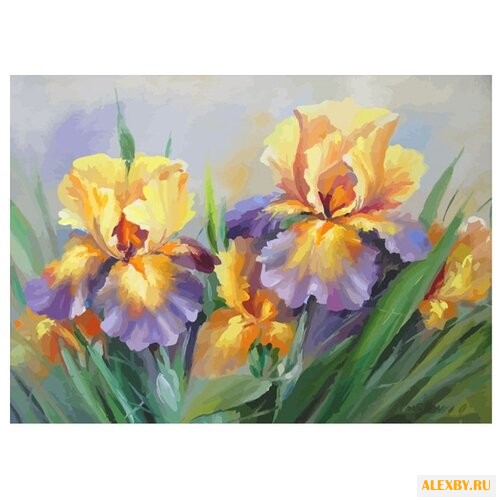 Color Kit Картина по номерам