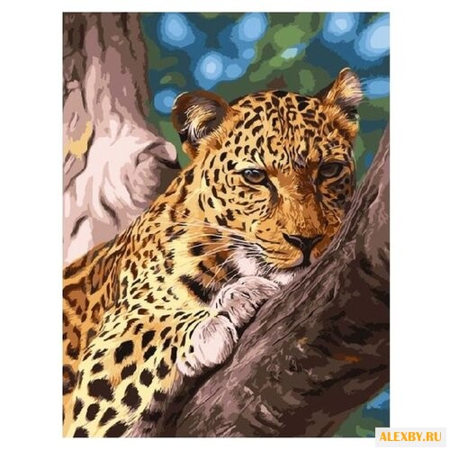 Paintboy Картина по номерам