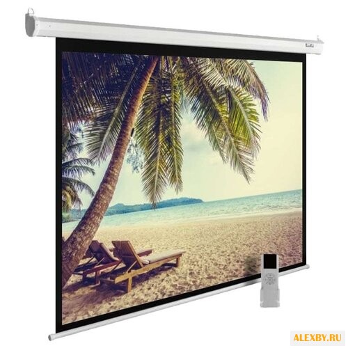 Рулонный матовый белый экран