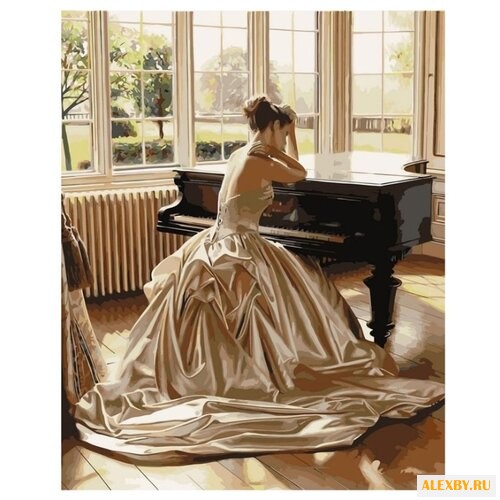 Paintboy Картина по номерам