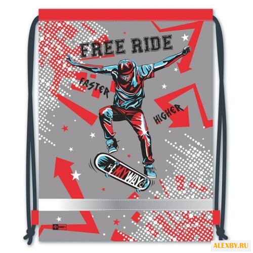 Феникс+ Мешок для обуви Скейтер