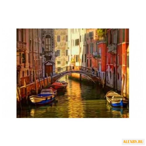 Рыжий кот Картина по номерам