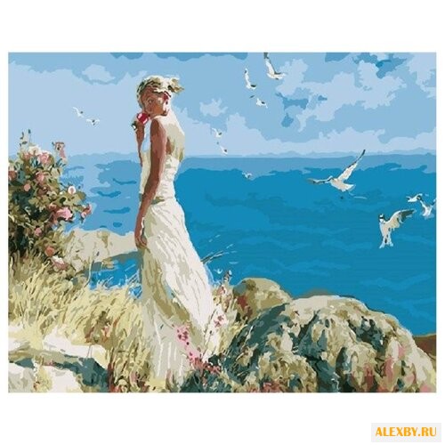 Paintboy Картина по номерам