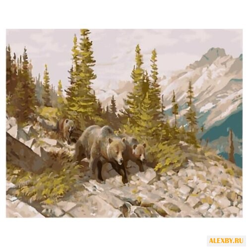 Цветной Картина по номерам